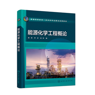 能源化学工程概论 田斌 煤炭利用技术 石油炼制与化工 天