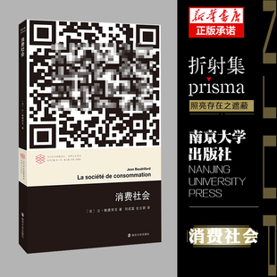消费社会 当代学术棱镜译丛 消费文化系列