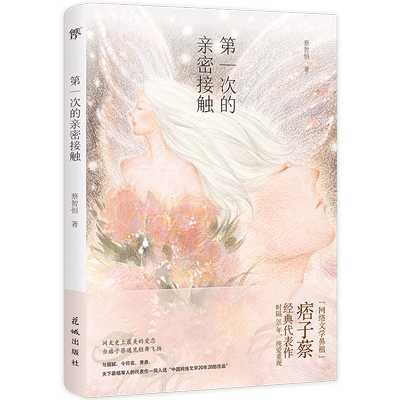 次的亲密接触（痞子蔡印签版，网络小说开山之作，初代网民