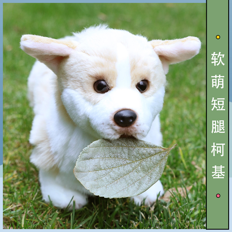 柯基犬公仔毛绒玩具威尔士矮脚狗仿真狗狗可爱玩偶送女友儿童礼品