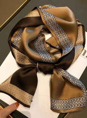 咖啡色纯色框真丝长条丝巾女春秋新款桑蚕丝职业领巾妈妈围巾送礼