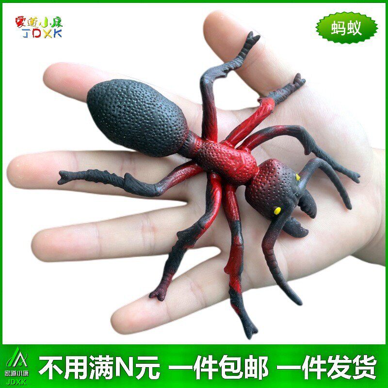 软胶仿真大蚂蚁幼儿园儿童玩具认