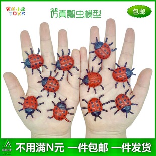 仿真瓢虫玩具模型幼儿园儿童男女孩认知早教认知礼品彩色昆虫动物