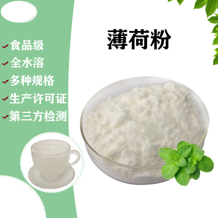 薄荷粉99% 水溶性 薄荷叶提取物 原料粉末 食用食品级凉爽 冲饮