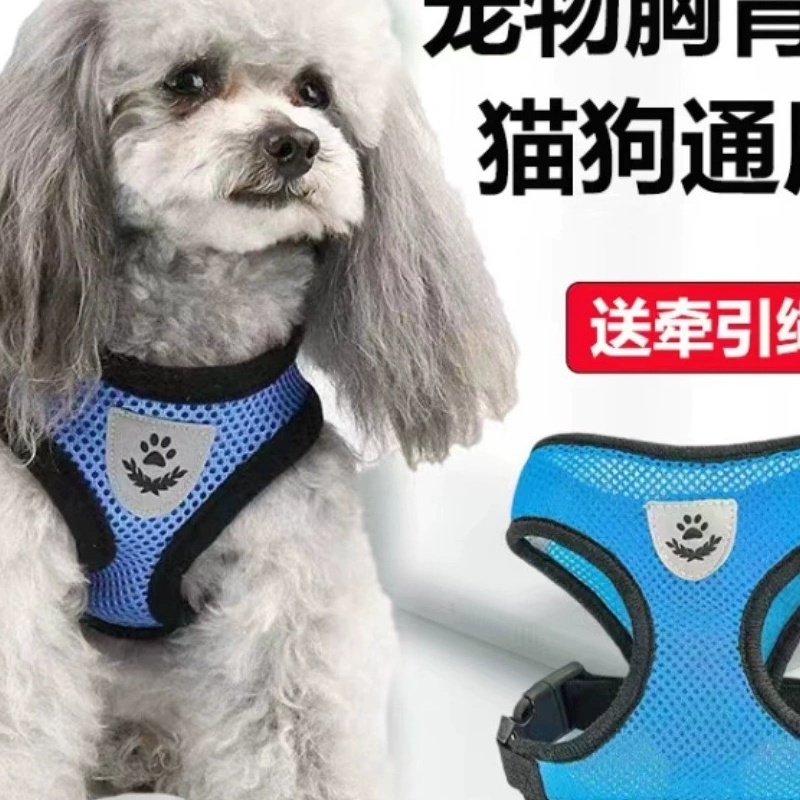 宠物用品猫狗牵引绳泰迪柯基中小型犬胸背带防丢狗链子遛狗绳