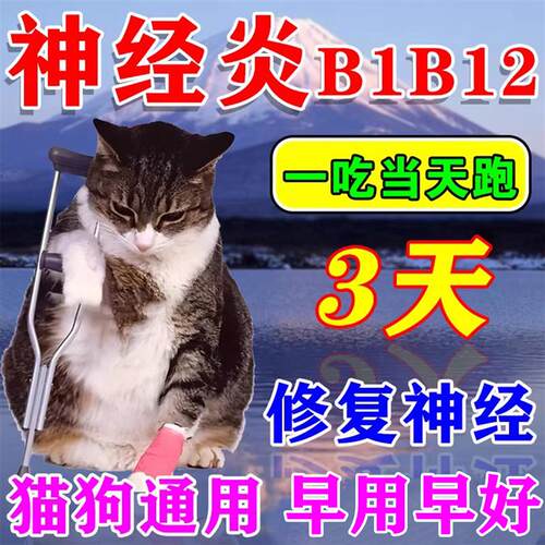 维生素b1b12狗狗腿无力抖猫咪髌骨脱位修复瘸腿宠物神经炎专用