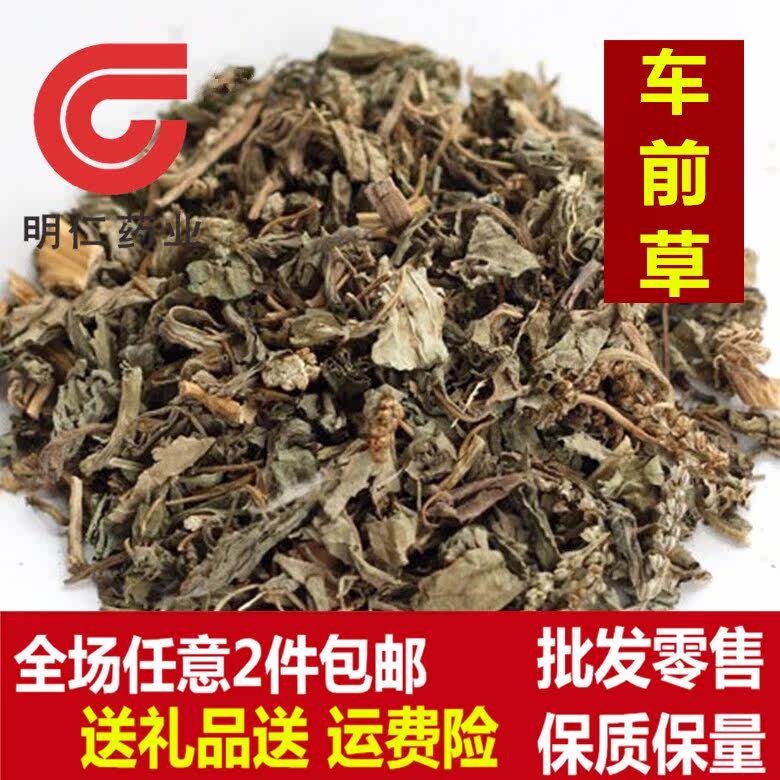 中药材车前草 无正品车轮菜 野生车前草茶硫新货 500克2件包邮|msdalam kategori makanan berkhasiat tradisional, Ubat-ubatan dan makanan yang boleh dimakan, Lain Perubatan dan Makanan yang boleh dimakan - dari Buy2taobao.com untuk memberikan perkhidmatan ejen Taobao profesional membeli