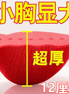 性感超厚文胸小胸聚拢显大内衣