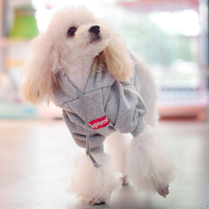 狗狗衣服泰迪上衣