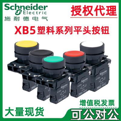 .XB5AA21C/平头德施耐XB5AA11CZB5AA1CZB5AA2C/ZB5AZ101C按钮=