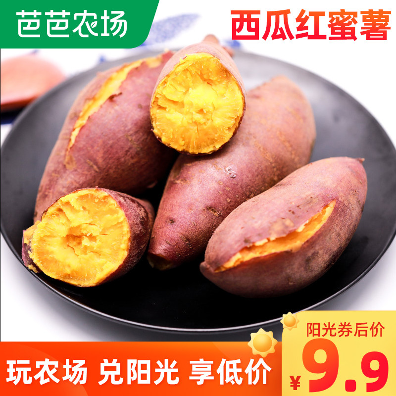 新鲜西瓜红蜜薯5沙地现挖红薯农家自种番薯地瓜包邮净果4.5斤