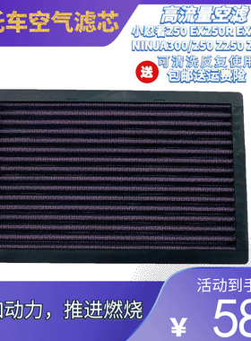 适用小忍者250 EX250R NINJA250 Z300摩托车配件空气滤清器滤芯格