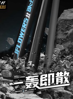 jflowers新款正品冲杆JF-BK1-2台球专用冲球球杆分体式台球杆