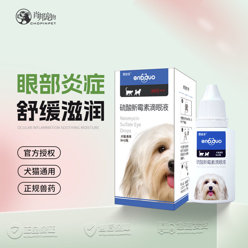 恩倍多滴眼液猫咪狗狗洗眼液结膜炎角膜炎鼻支消炎猫眼药水流眼泪,宠物/宠物食品及用品,狗眼/耳/口/鼻疾病药品,淘宝优惠券,粉丝福利购,淘宝优惠卷