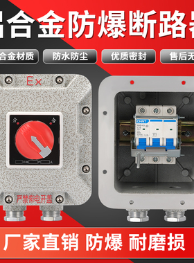 防爆断路器配电箱防爆空气开关10A25A32A63A 控制箱漏电保护空开