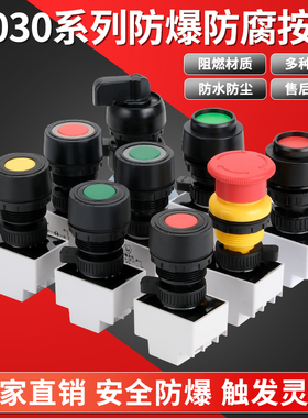 BAD8050自复位防爆按钮开关 平钮开孔30mm耐用款防水防爆按钮