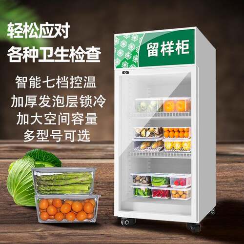 留样柜幼儿园学校食堂留样柜小型商用单门带锁冷藏保鲜柜双门冰柜