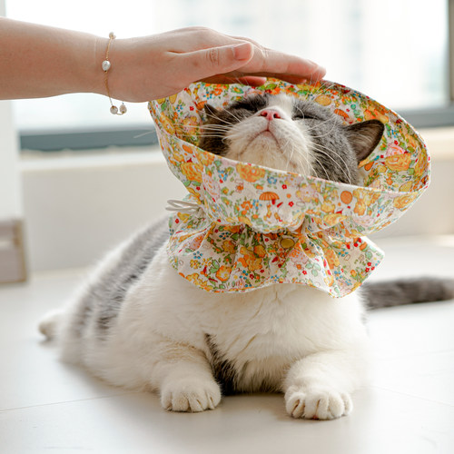 纯棉伊丽莎白圈/猫咪绝育防舔