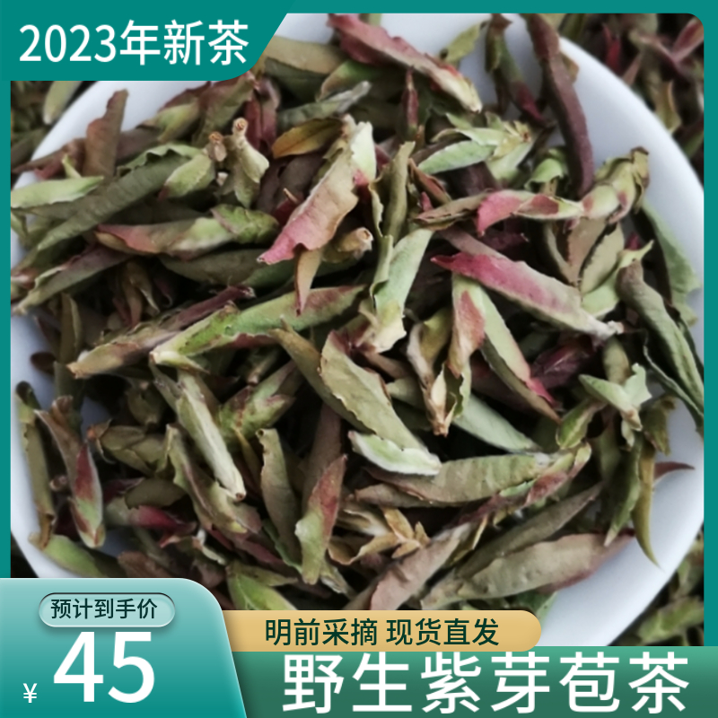 久煮不苦不涩降三高网红茶芽孢茶