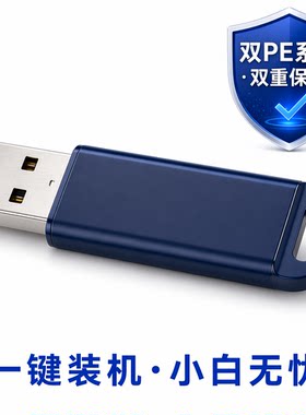 【双PE启动盘】免进PE一键重装系统U盘 小白轻松安装  纯净无广告