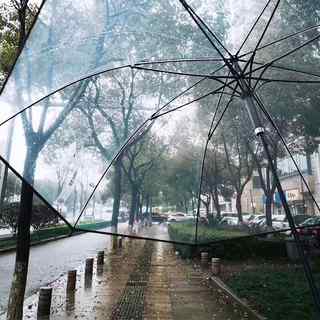 透明雨伞女加厚长柄大号白色日系ins复古风网红男双人晴雨两用伞