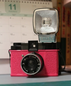 Lomo Camera Dianaf+ Mr. Pink Mr. Pink Diana 120 Retro Fool Rubble Бесплатная доставка
