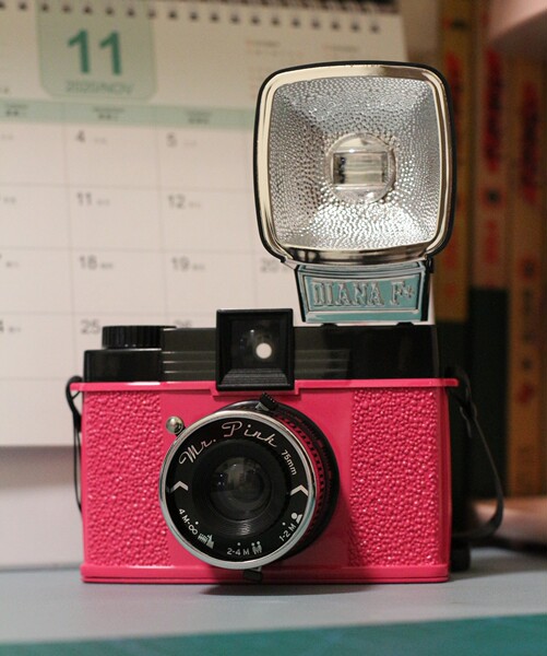 LOMO камера  DianaF+ розовый мистер  Mr.Pink диана 120 ретро Дурак объем пакет mail