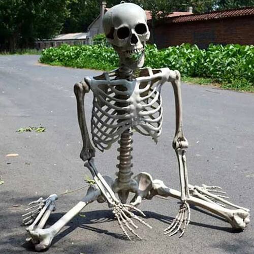 1pc Skeleton Home Decor Halloween Decor Active Fake Human Mo