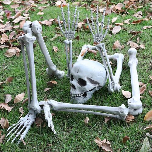 Halloween Decorations Home Decor Skeleton Head Scary Props R