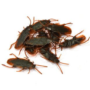 10pcs 20pcs Fake Cockroach Novelty Roaches Bugs Realistic