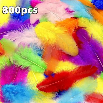 800/100Pcs Colorful  Feathers 3-5-inch Craft Feathers Weddin