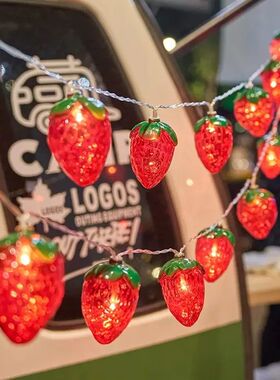 Strawberry String Lights Home Decoration Fairy Lights LED Ha