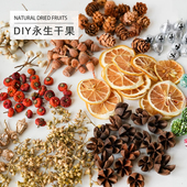 自制香薰蜡烛diy干果材料圣诞白松果尤加利果橡果肉桂橙子柠檬包