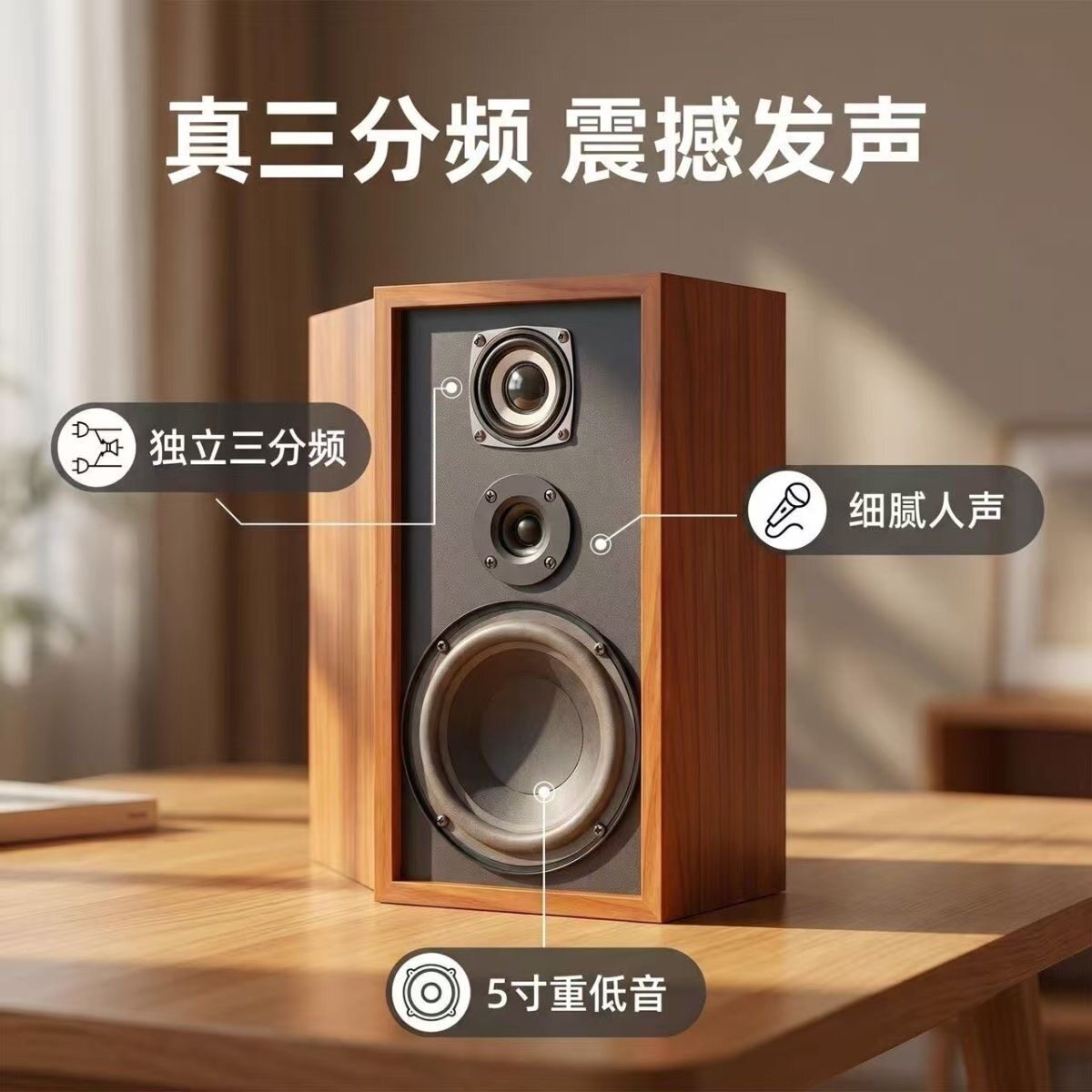 RULANDS声丽美A5 5寸三分频无源HIFI音响音箱发烧音乐影院书架箱