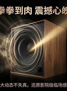 BS15 15寸烧hifi级无源音箱低音炮一只超重低音单元家庭影院