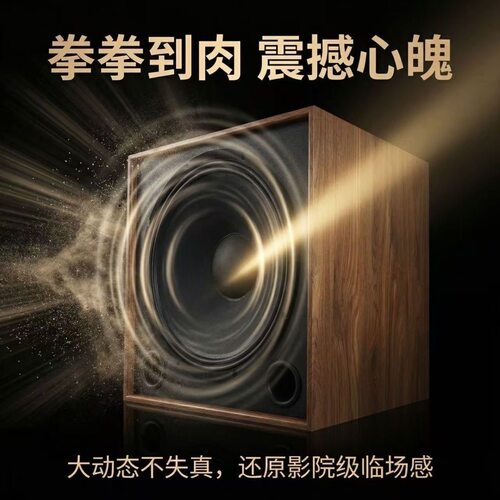 BS15 15寸烧hifi级无源音箱低音炮一只超重低音单元家庭影院