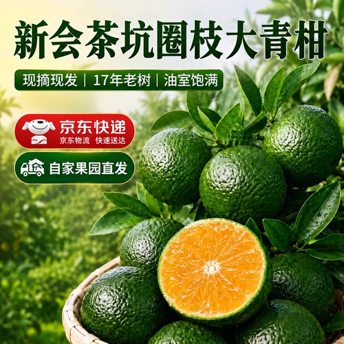 广东新会陈皮柑茶枝柑小青柑鲜果