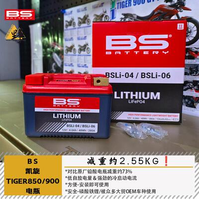 法国BS凯旋TIGER850900锂电