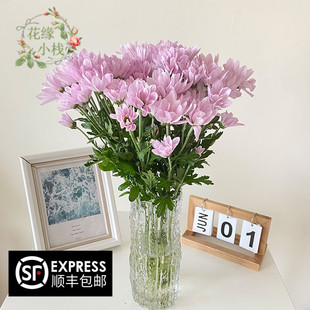 三文鱼小菊云南鲜花雏菊上新进口花材婚庆活动办公家用插花水养