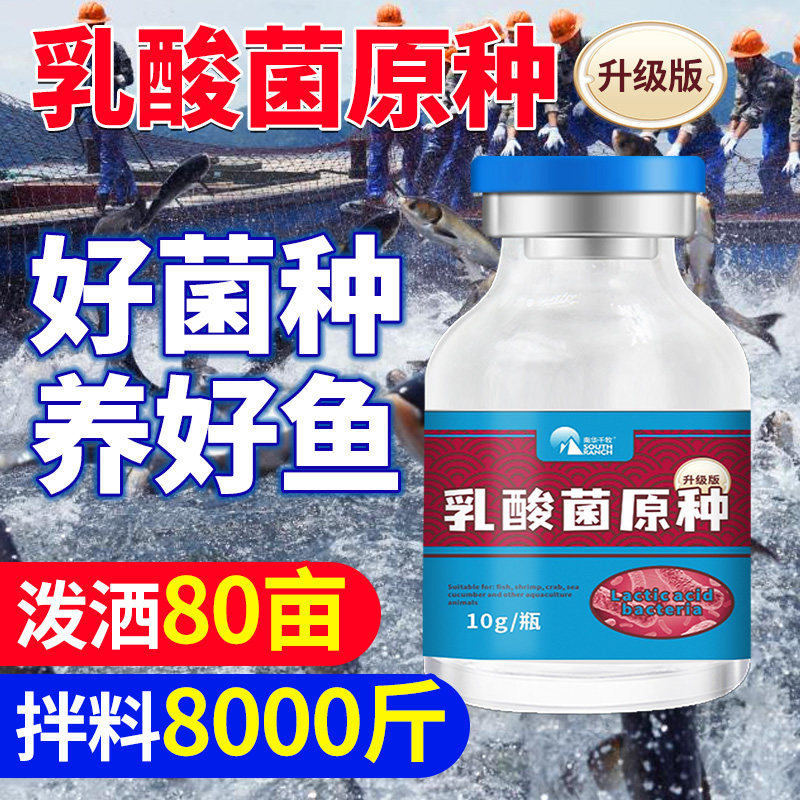乳酸菌原种水产养殖专用虾蟹鱼塘调水净水调节肠道Ph值抑制弧菌清 - 实物图