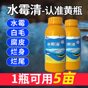 水霉病专治鱼药水霉清硫醚沙星水产养殖白毛病腐皮烂鳃烂尾水霉净