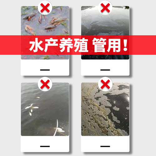 【整箱30袋】水产乳酸菌水产养殖调节水质净水降PH值水产em菌原种