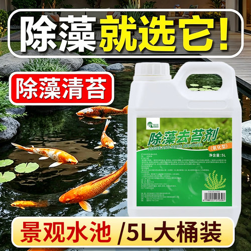 青苔去除绿水黑毛灭藻剂