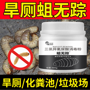 旱厕杀蛆专用药灭蛆虫强效农村用厕所公厕卫生间茅厕化粪池蛆无踪