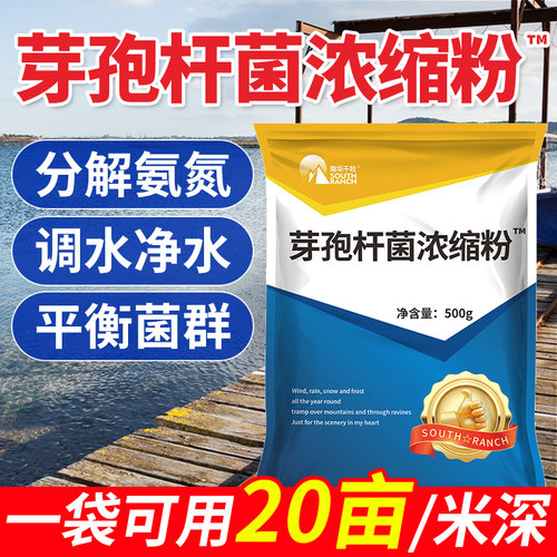 南华千牧芽孢杆菌浓缩粉