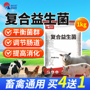 复合益生菌猪牛羊鸡禽用饲料添加剂肠道营养维生素丁酸梭菌兽用
