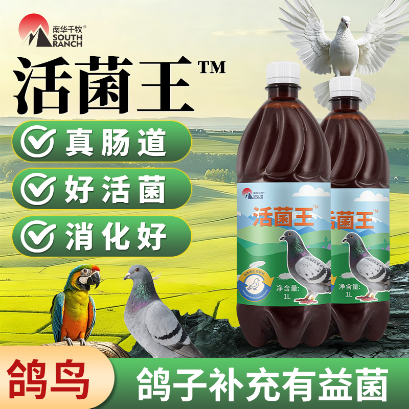 用赛鸽鹦鹉鸟鸽子药肠道绿便鸽药