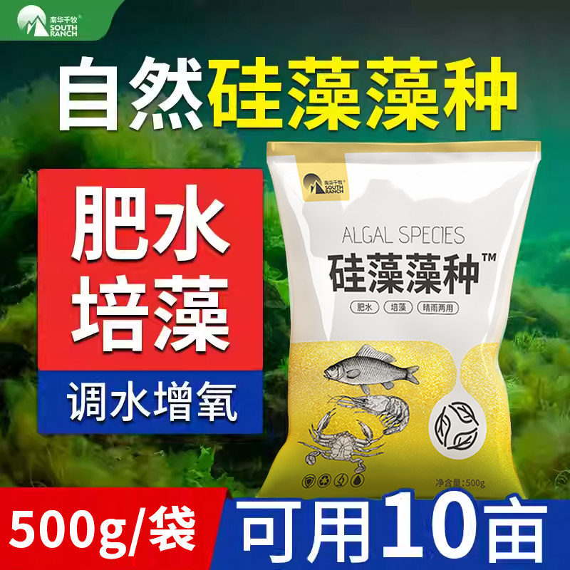 南华千牧硅藻藻种水产养殖小球藻绿藻鱼虾蟹水产复合藻种调水肥水