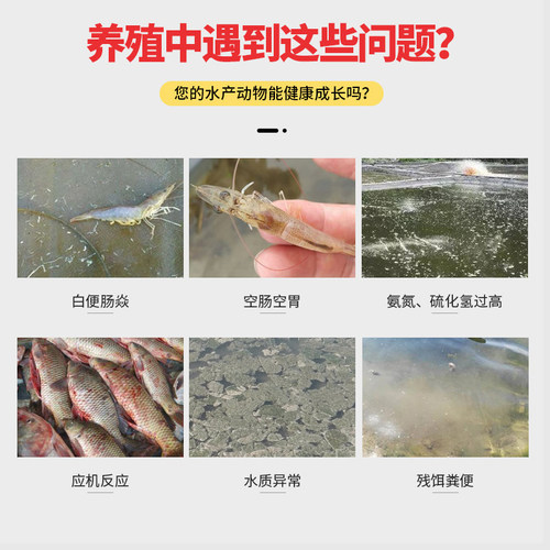 【整箱16瓶】丁酸梭菌EM菌水产养殖虾蟹鱼塘调节肠道拖白便空肠胃
