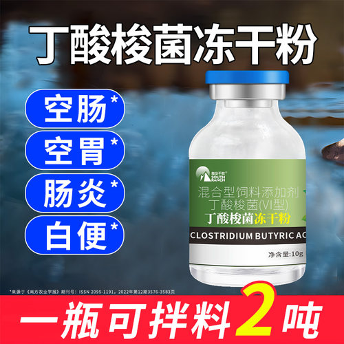 蟹塘对虾调节肠道白便丁酸梭菌